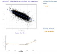 Telomere Length 2 2023-2024.jpg