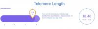 Telomere Length 1 2023-2024.jpg