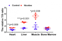 telomeres increased from nicotine.png